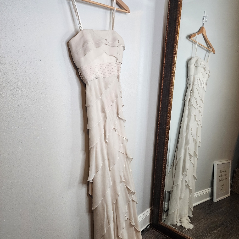 Strapless Silk BCBG Maxazria Gown